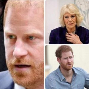 Shocking update about Queen Camilla after Prince Harry’s visit to see his father confirms what we all suspected