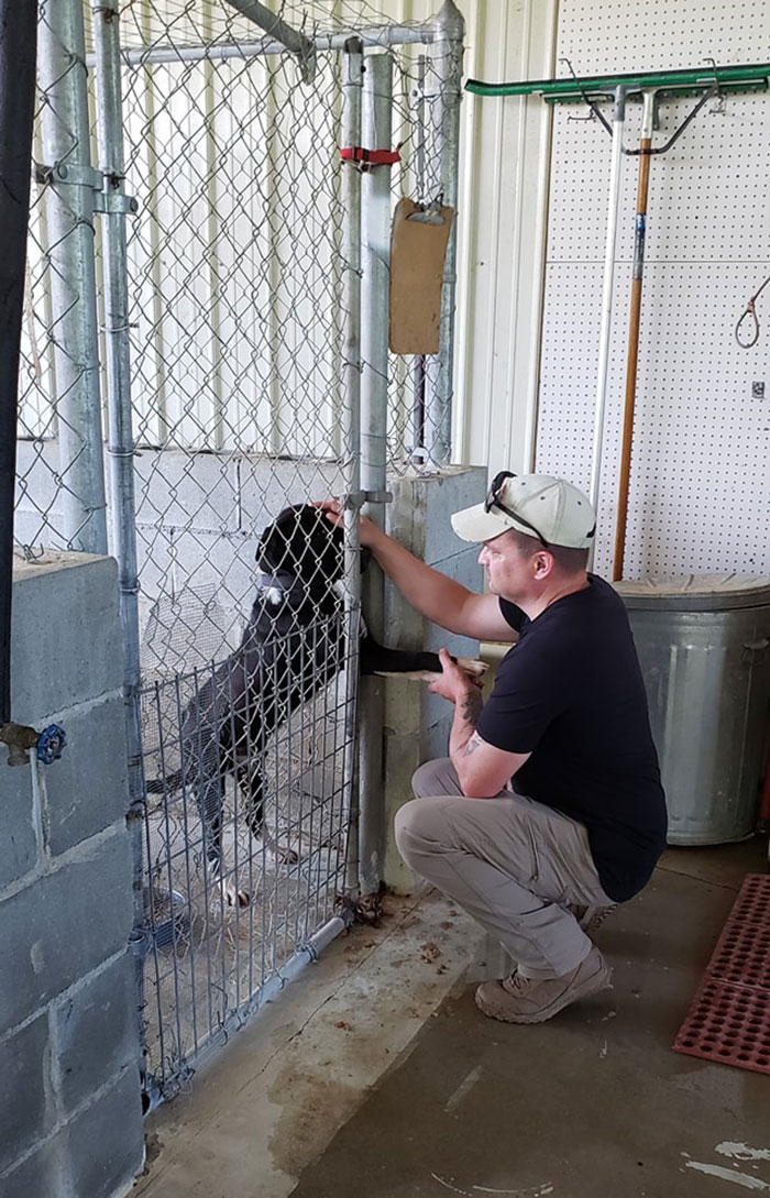 This Friendly Doggo Likes To Hold Hands With People Passing By His Kennel