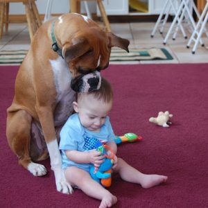 The dog’s devotion to the child while the parents are away from home fosters the love for the pet.lqh