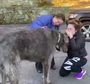 The emotional reunion between a woman and her long-lost dog brings tears of joy as she thoughtfully embraces her beloved companion, dispelling the fear of a permanent separation.lqh