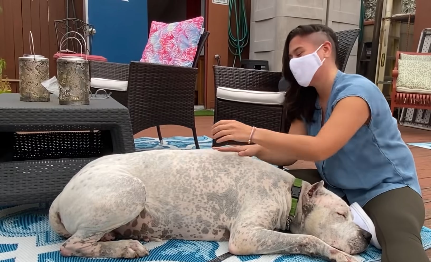 a woman with a mask caresses a dog lying on the carpet