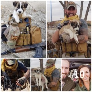 The soldier saved a puppy from the debris, and now it remains by his side in his backpack at all times.lqh