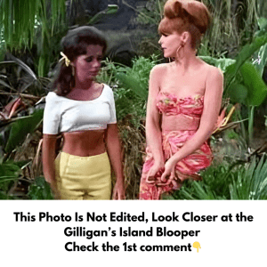 This Photo Is Not Edited, Look Closer at the Gilligan’s Island Blooper