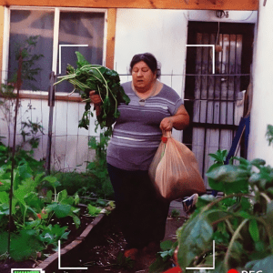 My Neighbor Kept Stealing Vegetables and Fruit from My Small Backyard Garden I’ve Grown Myself