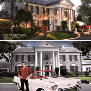 Have you ever seen Graceland from the inside? Never seen photos of Elvis Presley’s beloved home