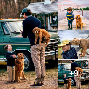 Surprise Gift: A father surprised his son and his mother dog with a special gift, a puppy that had been lost for the past 2 months, spreading joy throughout the online community.lqh