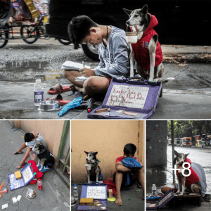 A Tale of Resilience: The Unbreakable Bond Between a Homeless Child and His Constant Canine Companion.lqh