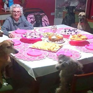 Heartwarming: 91-Year-Old Grandma Invites Wild Neighborhood Dogs to Her Birthday Party.lqh