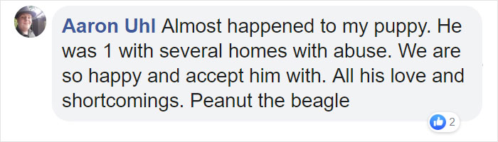 Man Rescues A Beagle From Being Euthanized In A Shelter, The Dog Can't Contain His Gratitude, Hugs His Rescuer