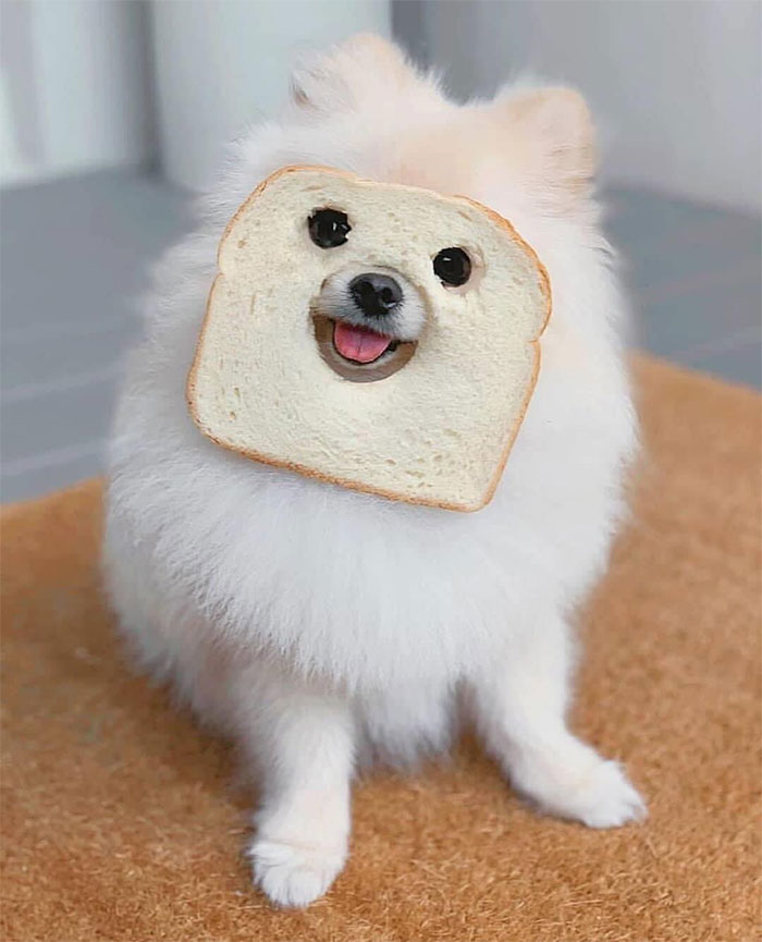 I Am Inbread