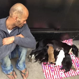 Man Sells Everything He Could To Save His Dog With Her Seven Puppies And Goes Viral For Touching The Hearts Of All People Around The World.lqh