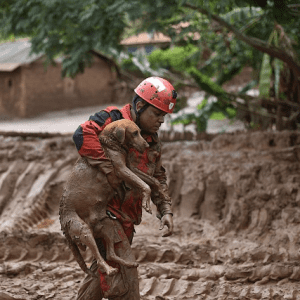 Restoring Faith: Compassionate Rescue Operation Saves Dog Trapped in Quicksand.lqh