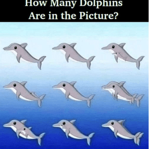 RIDDLE: How Many Dolphins Are in the Picture?