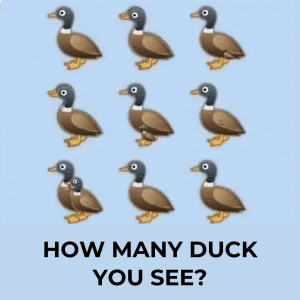 How many ducks are in the picture? The viral challenge sweeping the internet, explained