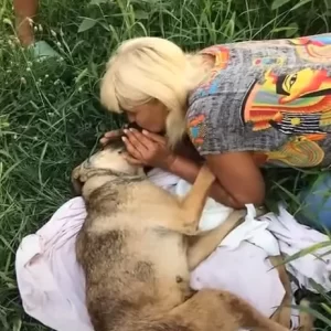 The poor dog was sick and lying on the side of the road. Fortunately, someone was kind enough to rescue her and promise to never leave her alone again.lqh