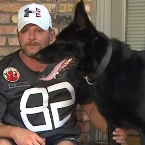 Emotional Reunion: Soldier and Military Dog Finally Meet Again After 5 Years Apart.lqh