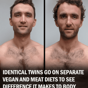 Identical Twins Trailed a Vegan Diet Vs. Omnivorous Diet