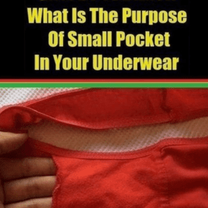 Have YOU ever wondered why there’s a pocket in your pants? Mystery of extra fold of material in women’s underwear is revealed (and it’s all down to manufacturers saving money)