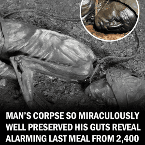 Man’s 2400-Year-Old Corpse So Well Preserved That His Guts Reveal His Last Meals