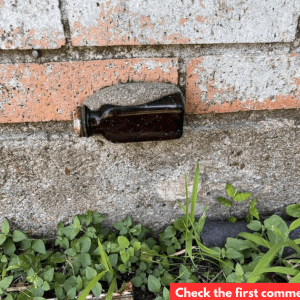 The Mysterious Bottle in the Brick: A Glimpse into the Past