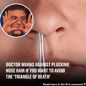 Doctor Warns Against Plucking Nose Hair to Avoid ‘Triangle of Death’