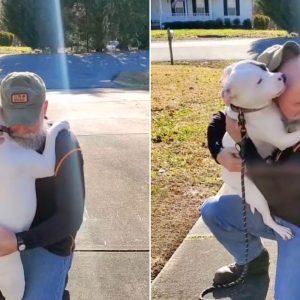 This Dog Couldn’t Stop Hugging His New Owner After Being Saved From Abusive People