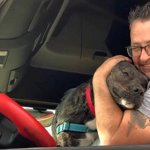 Illinois Pup Who Stayed 372 Days At Shelter Can’t Contain His Excitement When A Hooman Finally Stops At His Kennel