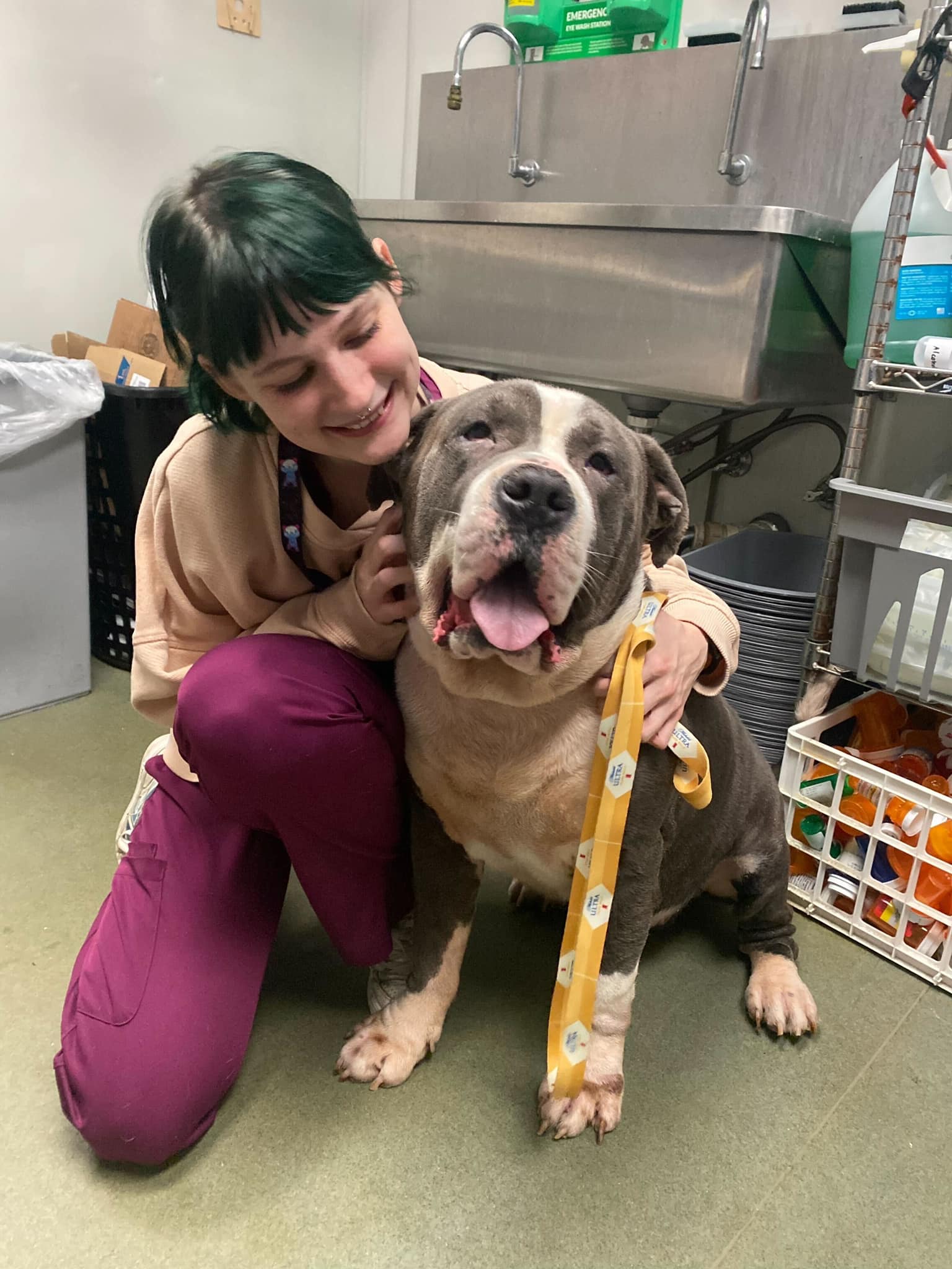 Girl with green hair and dog