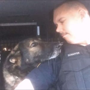 K-9 Officer Named Faust Honored With Final Radio Call After 8 Years Of Police Service