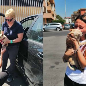 Little Chihuahua Reunited With Her Family After 8 Years Of Separation