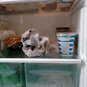 Why put wet newspaper in the refrigerator? A clever trick from experienced housewives