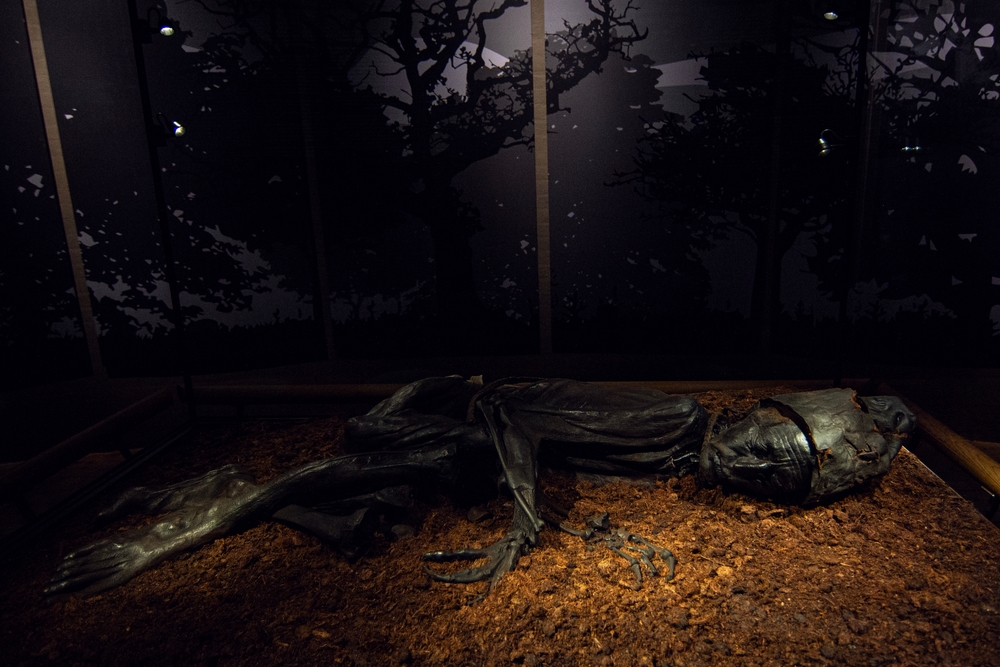 Silkeborg, Denmark - 06.14.2023: Tollund Man (aka Tollund Manden) is a 2400 year-old bog body found in 1950 in bog by Bolling So lake near Silkeborg. Nowadays can be seen at Museum Silkeborg, Denmark
