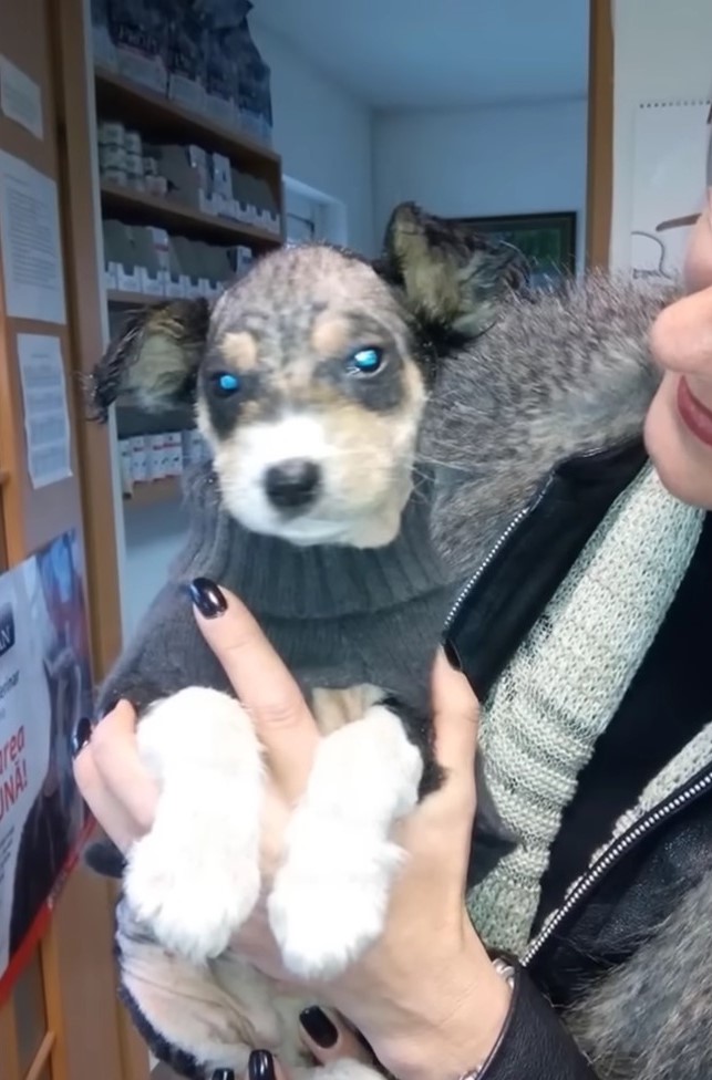 woman holding rescued puppy