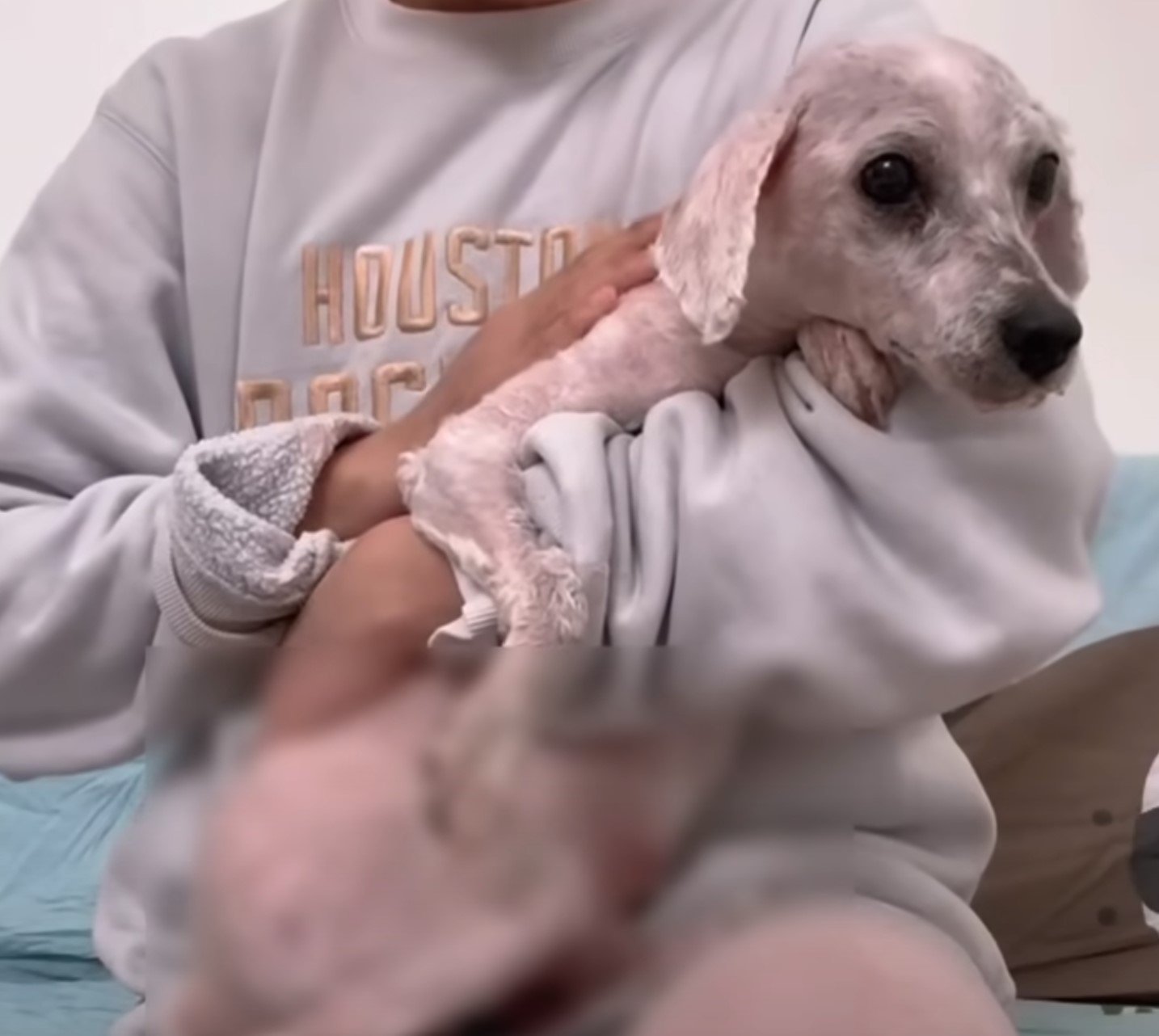 woman holding shaved dog