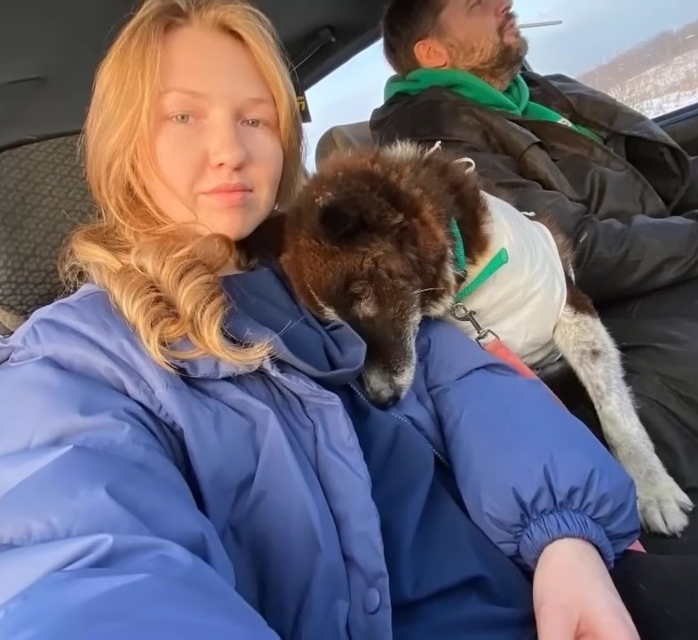 woman taking picture with dog in the car while man driving